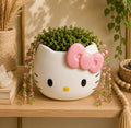 Hello Kitty Planter