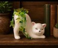 Cat planter
