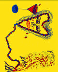Mrs. Lovelace